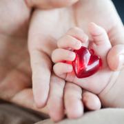 Heart defects - treatment with folk remedies