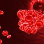 מה מצביעים האינדיקטורים העיקריים של בדיקות הדם?