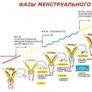 A menstruáció elmaradásának okai negatív terhességi teszttel
