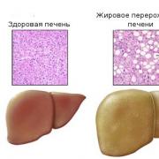 Treatment of liver parenchyma