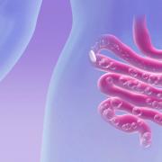 Aumento de la formación de gases en los intestinos: cómo tratarlo.