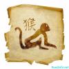 Horoscope du Nouvel An pour le singe